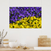 紫と黄のヴィオラカラフルフローラ ポスター (キッチン)