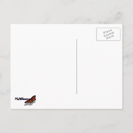 紫と黄のヴィオラカラフルフローラ ポストカード (裏面)