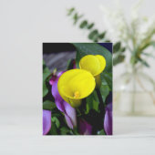 紫と黄色のカレーユリの花はがき ポストカード (スタンド正面)