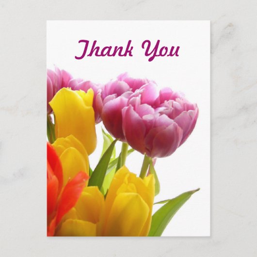 紫と黄色のチューリップの感謝の気持ちを伝えるポストカード ポストカード (正面)