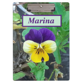 紫と黄色のパンジーのクリップボード クリップボード