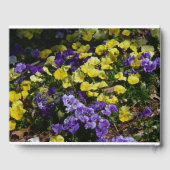 紫と黄色のパンジーの丘の斜面 ゲストブック (裏面)