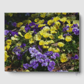 紫と黄色のパンジーの丘の斜面 ゲストブック (裏面)