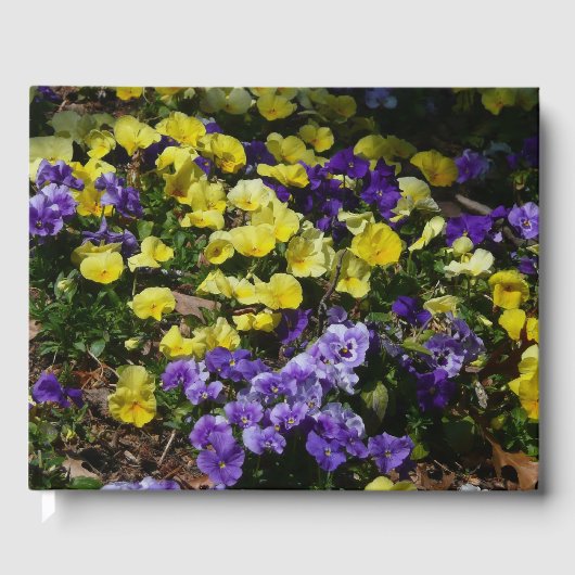 紫と黄色のパンジーの丘の斜面 ゲストブック (正面)