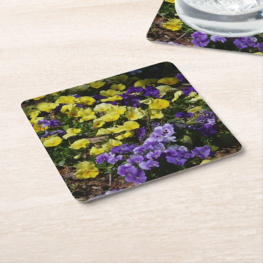 紫と黄色のパンジーの丘の斜面 スクエアペーパーコースター (アングル)