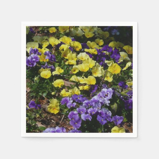 紫と黄色のパンジーの丘の斜面 スタンダードカクテルナプキン (正面)