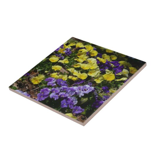紫と黄色のパンジーの丘の斜面 タイル (側面)