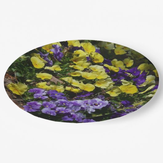 紫と黄色のパンジーの丘の斜面 ペーパープレート (アングル)
