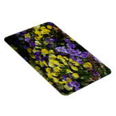 紫と黄色のパンジーの丘の斜面 マグネット (右側)