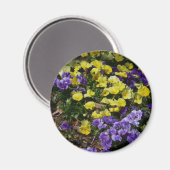紫と黄色のパンジーの丘の斜面 マグネット (正面/裏面)