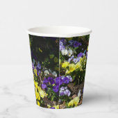 紫と黄色のパンジーの丘の斜面 紙コップ (右)
