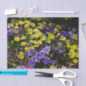 紫と黄色のパンジーの丘の斜面 薄葉紙 (クラフト)