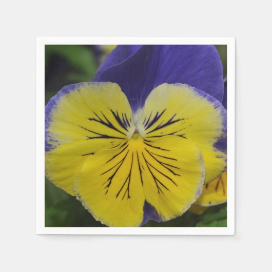 紫と黄色のパンジーの花 スタンダードカクテルナプキン (正面)