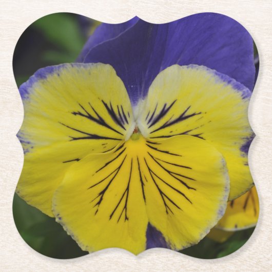 紫と黄色のパンジーの花 ペーパーコースター (正面)