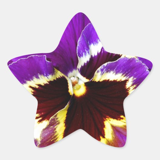 紫と黄色のパンジーの花 星シール (正面)