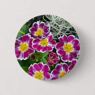 紫と黄色の紫の花 缶バッジ