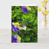 紫と黄色の花のグリーティングカード カード (黄色い花)