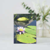 紫と黄色の花はがき ポストカード (スタンド正面)