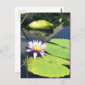 紫と黄色の花はがき ポストカード (正面/裏面)