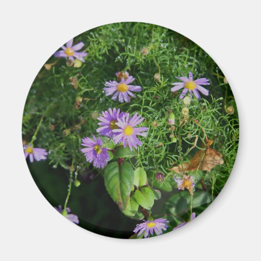 紫と黄色の花 マグネット (正面)
