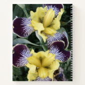 紫と黄色の髭のないアイリスのフローラ ノートブック (裏面)