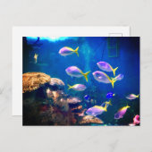 紫と黄色の魚のはがき ポストカード (正面/裏面)