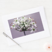 紫に白ニンニクの花 長方形シール (封筒)