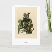 『紫のおじぎ』 カード (裏面)