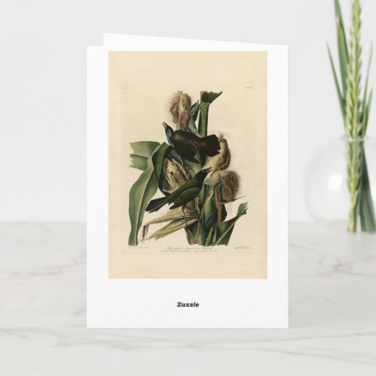 『紫のおじぎ』 カード (裏面)