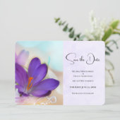 紫のかわいらし春の結婚写真 セーブザデート (スタンド正面)