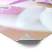 紫のかわいらし春 ポスター (角)