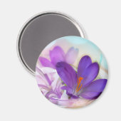 紫のかわいらし春 マグネット (正面/裏面)