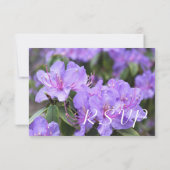 紫のつつじの花のRSVPカード 出欠カード (裏面)