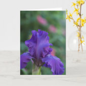 紫のアイリスのグリーティングカードのダンス カード (黄色い花)
