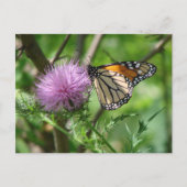 紫のアザミに羽を付けた蝶 ポストカード (正面)