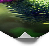 紫のアザミの花が閉まる ポスター (角)