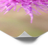 紫のアザミの花ポスター ポスター (角)