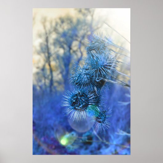 紫のアザミ ポスター (正面)