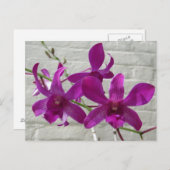 紫のエキゾチックな蘭の花 ポストカード (正面/裏面)