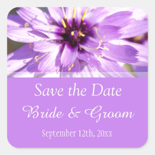紫のエレガントデイジーの花の日付を保存 スクエアシール (正面)