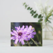 紫のエレガントデイジーの花の日付を保存 案内ポストカード (スタンド正面)