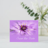 紫のエレガントデイジーの花は日付はがきを保存 案内ポストカード (スタンド正面)