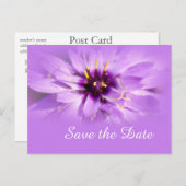 紫のエレガントデイジーの花は日付はがきを保存 案内ポストカード (正面/裏面)