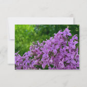 紫のエレガントフローラ薄紫日付の保存 セーブザデート (裏面)