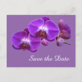 紫のエレガント蘭の花は日付を保存 案内ポストカード (正面)
