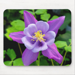 紫のオダマキ(植物)花 マウスパッド