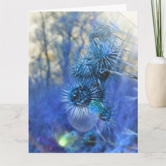 紫のカードのアザミ カード (正面)