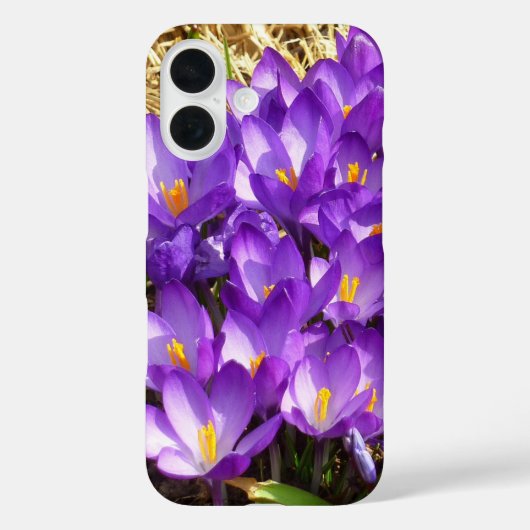 紫のクロッカスの群生 春の花 Case-Mate iPhoneケース (裏面)