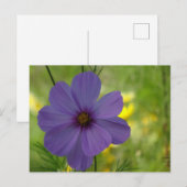 紫のコスメアの花のDIYポストカード ポストカード (正面/裏面)