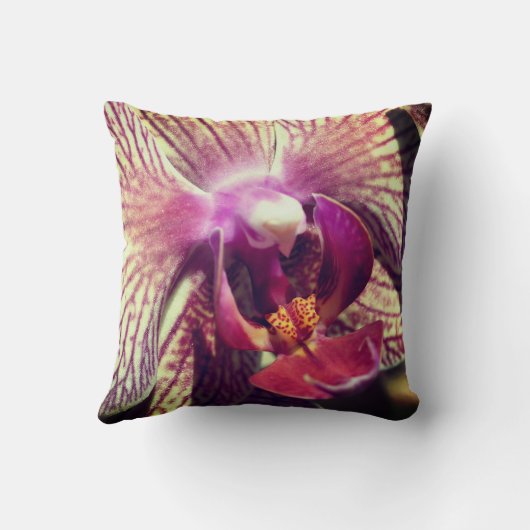 紫のストライプの蘭の花が閉まる クッション (裏面)